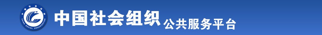 操逼草逼操逼全国社会组织信息查询